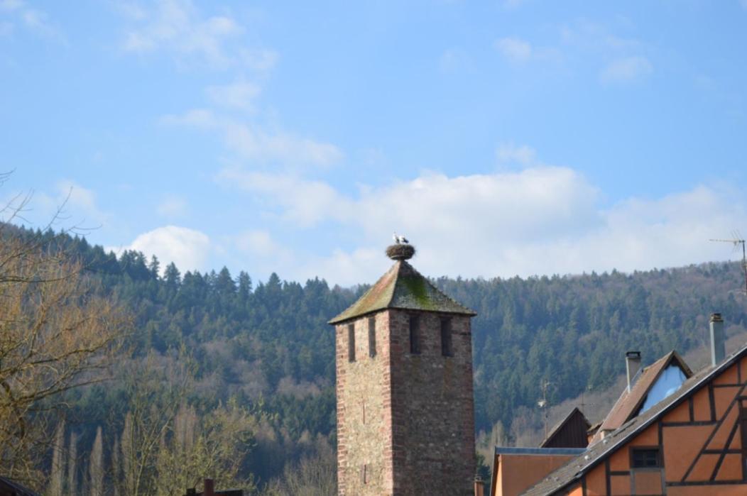 Appartamento Coeur D'Alsace Kaysersberg-Vignoble Esterno foto